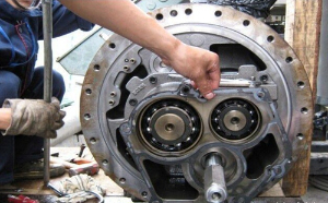 系统的对中央91成人抖音下载维护保养的步骤是什么？